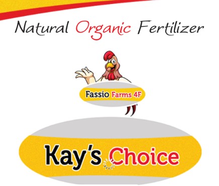 Fassio Farms 4F Kay’s Choice